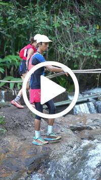 BIB:  <button type="button" onclick="openModal(27706700)" class="btn btn-primary btn-sm float-right" data-toggle="modal" data-target=".modal-high-quality">
                <i class="fa fa-download"></i> Download
                </button>